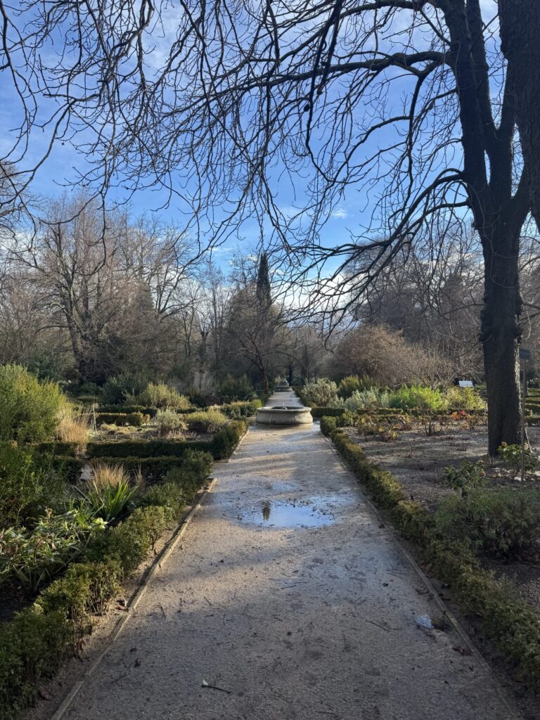 botanical 2