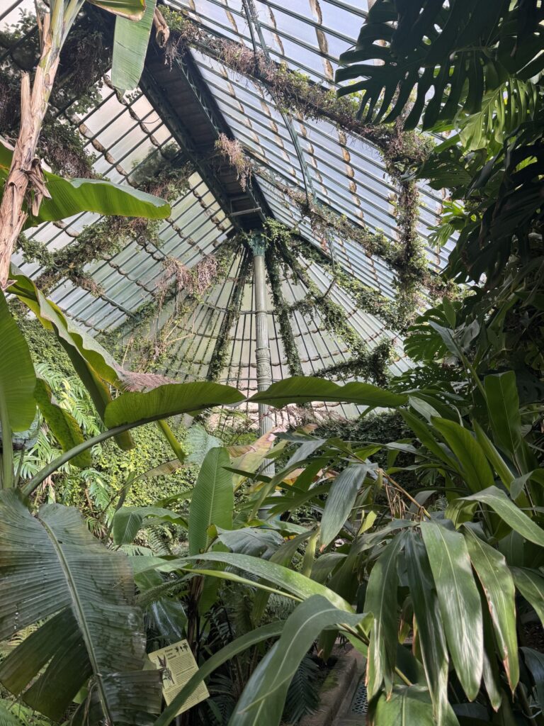 botanical 3