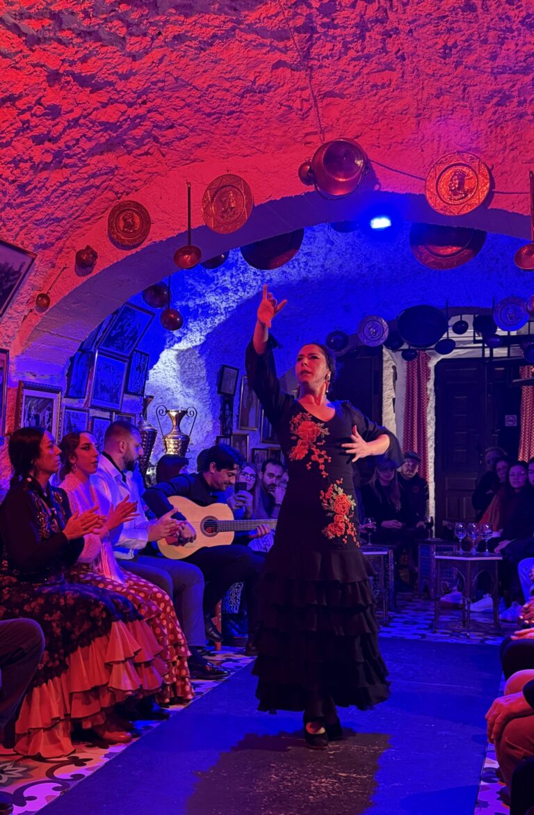 flamenco 3