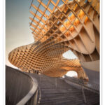 metropolparasol