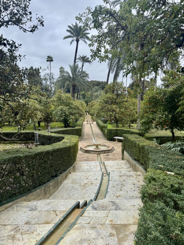 royalalcazar 7
