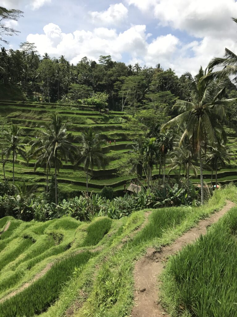 bali