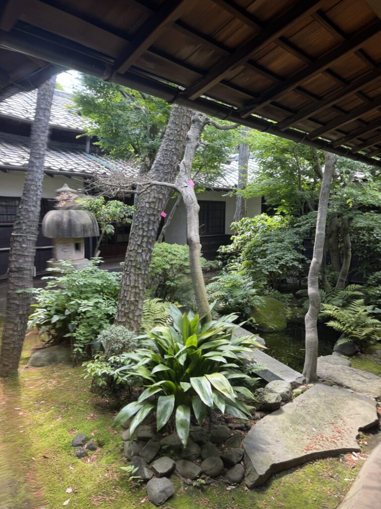 daikanyama 9