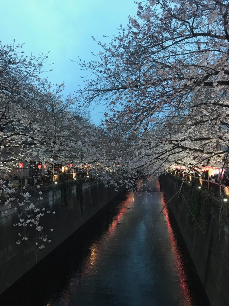 nakameguro