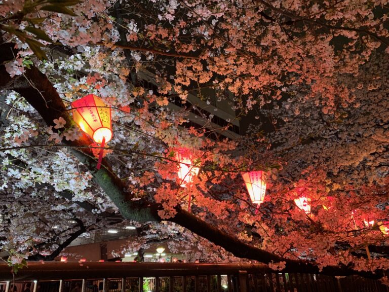 nakameguro 14