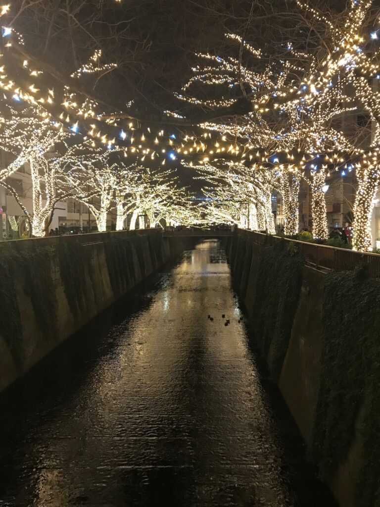 nakameguro 15