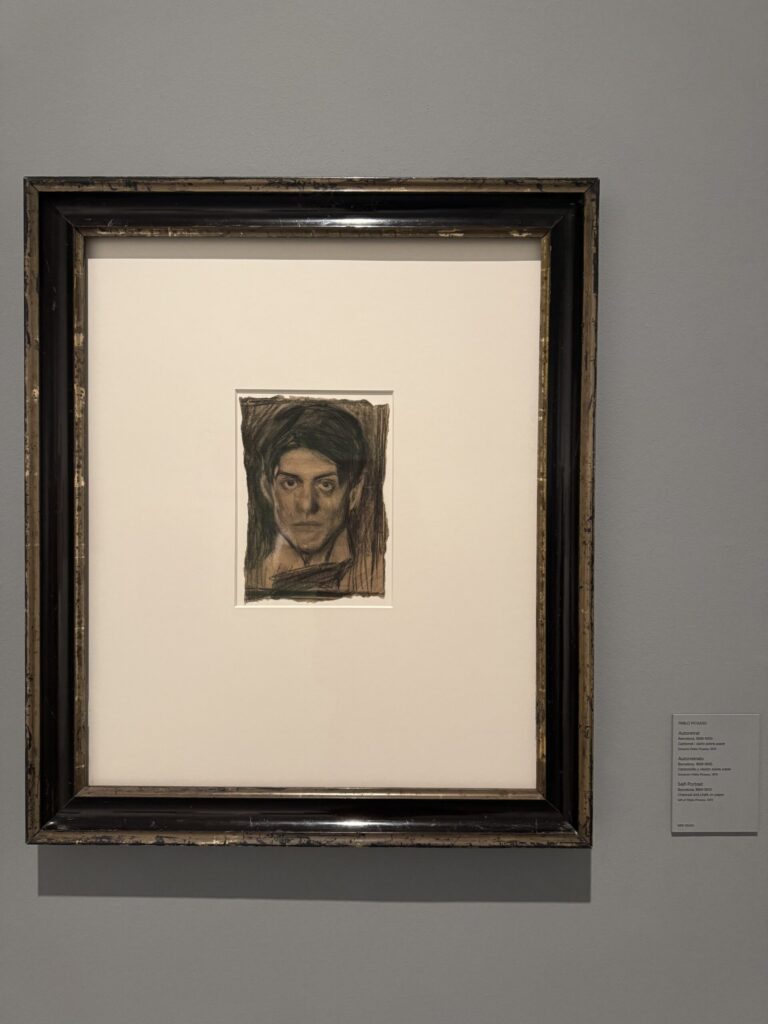 picasso 4