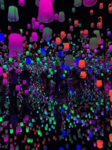 teamlab 1