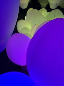 teamlab 3