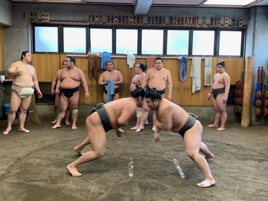 sumo 6