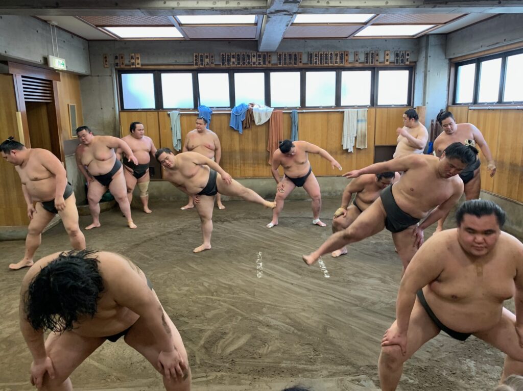 sumo 8