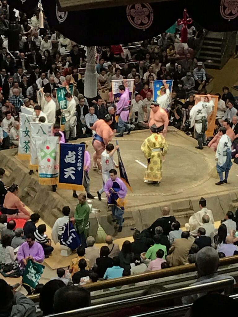 sumo 9