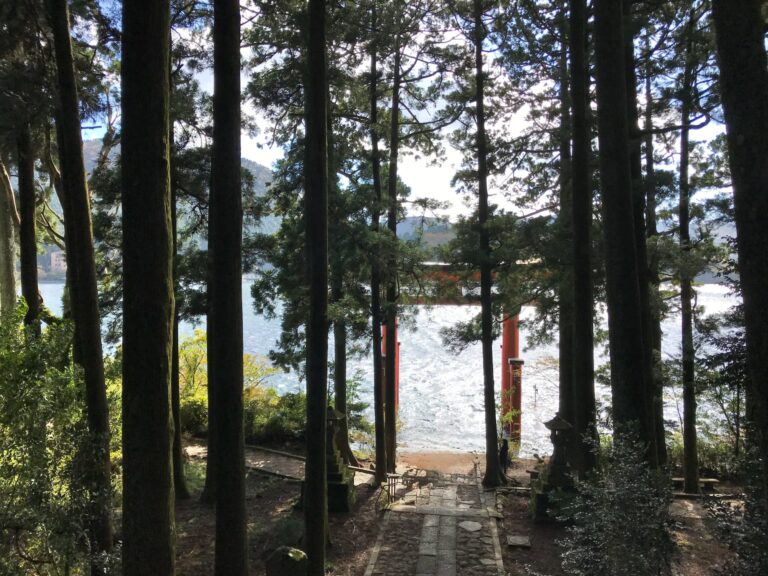 hakone tori1