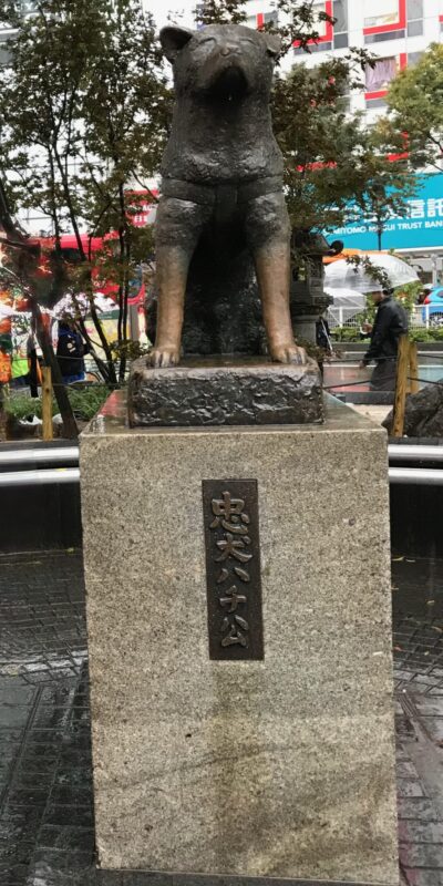 hachiko 1